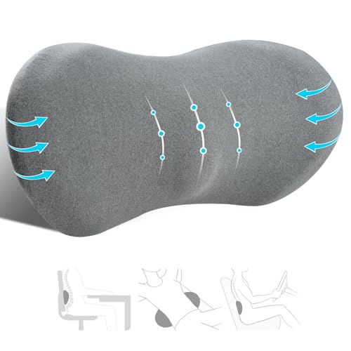 kasney Lumbar Support Pillow, Memory Foam Lumbar Pillow for Lower Back Pain Relief, Back Support Pillow for Office Chair, Car Seat - Dark Gray - color: Dark Gray