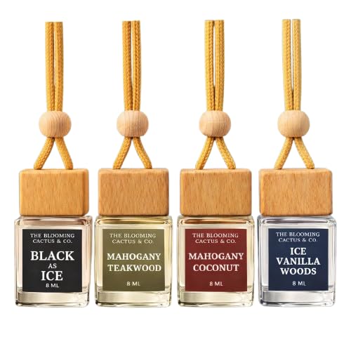 4 Pack Air fresheners | Long lasting car air fresheners, Hand-made in USA | Small room diffuser | Small Business Woman Owned. (Fresh & Earthy Mix SQ) - style: Fresh & Earthy Mix SQ