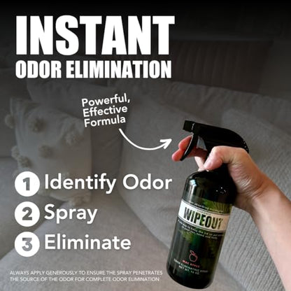 Chronic Wipeout Smoke Smell Eliminator for Home, Cars, Hands, Hair, Clothes, & More | Smoke Odor Eliminating Spray for All Kinds of Strong Smoke | Gifts for Smokers - Bamboo Teak 2 Pack (16 oz) - size: 16 Ounce (Pack of 2)