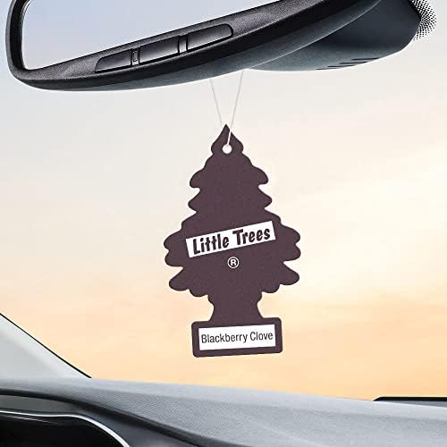LITTLE TREES Car Air Freshener | Hanging Tree Provides Long Lasting Scent for Auto and Home | 24 Air Fresheners |Blackberry Clove - color: Blackberry Clove