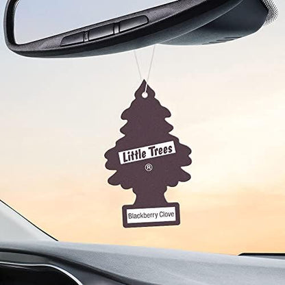 LITTLE TREES Car Air Freshener | Hanging Tree Provides Long Lasting Scent for Auto and Home | 24 Air Fresheners |Blackberry Clove - color: Blackberry Clove