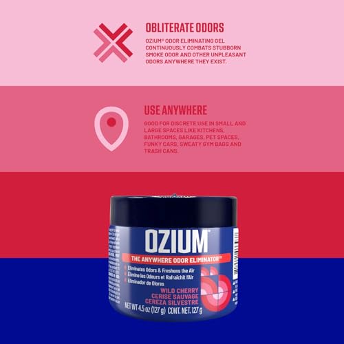 Ozium Odor Eliminating Gel Air Freshener 4.5 oz Wild Cherry for Home Car Office (6-pack) - size: 1 Count (Pack of 6)