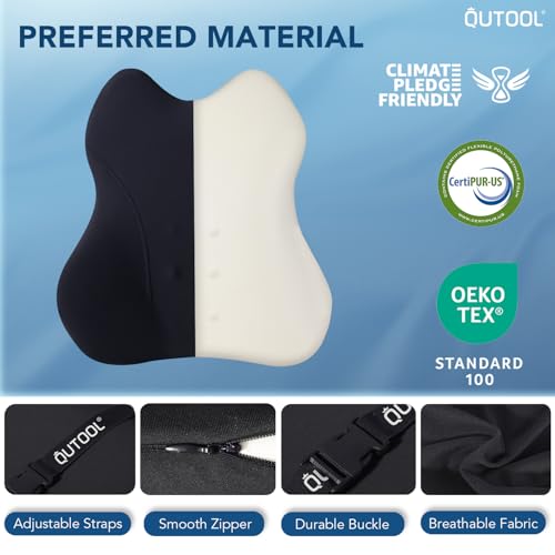 QUTOOL Lumbar Support Pillow for Car, Truck Accessories Travel Essentials, Memory Foam Back Cushion for Driving Seat, Back Pain Relief,Washable Cover, Lower Back Support Fits Most Cars(Black)