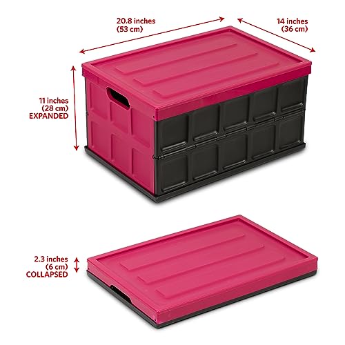Glad Collapsible Storage Bin with Lid - 48L Foldable Plastic Box for Garage, Car Trunk, and Organization - Stackable Lidded Container with Handles, Purple - color: Purple