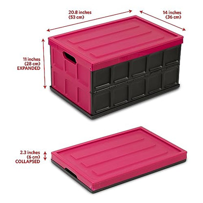 Glad Collapsible Storage Bin with Lid - 48L Foldable Plastic Box for Garage, Car Trunk, and Organization - Stackable Lidded Container with Handles, Purple - color: Purple