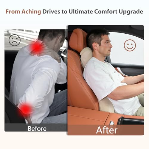 FLORICH Lumbar Support with Headrest Pillow Double-Sided Suede & Leather Car Neck Pillow and Back Cushion Kit Ergonomic Back Rest Pillow Neck Back Pain Relief for Car, Office Chair, Black - color: Black
