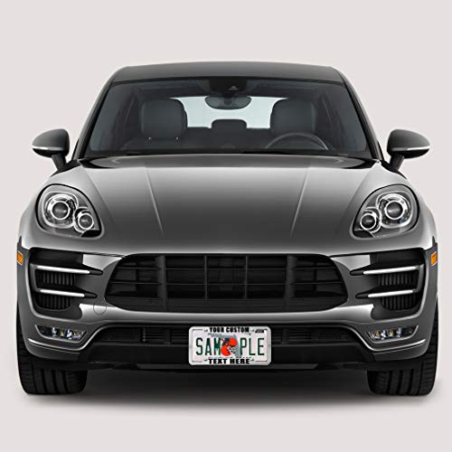 Speedy Pros Funny License Plate Frame Custom Personalized Text Zinc Cute Car Accessories License Plate Holder Chrome 4 Holes 1 Frame