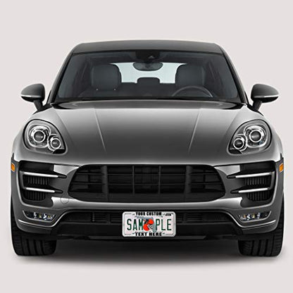 Speedy Pros Funny License Plate Frame Custom Personalized Text Zinc Cute Car Accessories License Plate Holder Chrome 4 Holes 1 Frame