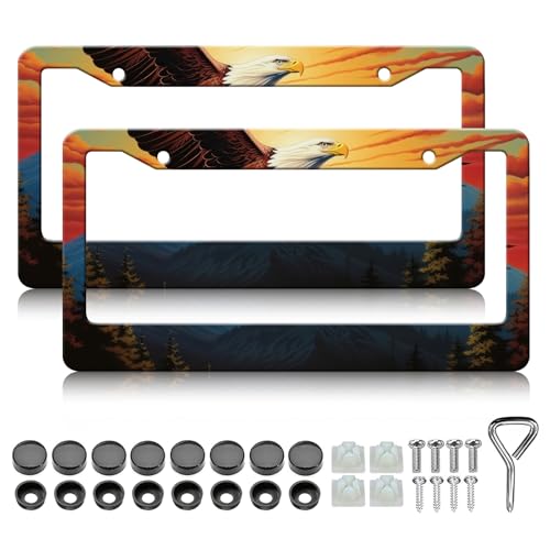 HCSS Eagle License Plate Frames - 2 Pack Mountain Forest Scenery License Plate Holder, Stainless Steel Rust-Proof Waterproof Car Decorative Tag Frame for Standard US 12x6 Inch - color: Eagle