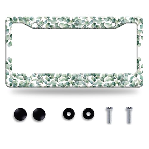 Green Leaf License Plate Frame Colorful License Plate Stainless Steel Funny License Plate Holder Personalized Leaves Car Accessory Decoration 12.3" x 6.3"for Men Women - color: Green Leaves Pattern