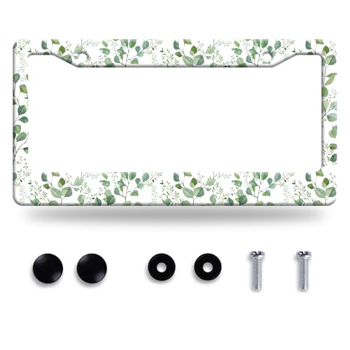 Green Leaves License Plate Frame Floral Leaf License Plate Frames Funny Auto Accessory Stainless Steel Colorful License Plate Decoration for Women Men 12 x 6 Inch - color: Cute Green Leaves Floral