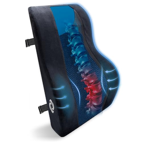 Samsonite Memory Foam Lumbar Support Pillow, Ergonomic Back Cushion for Office Chair, Gaming Chair, Auto Back Support with Cooling Gel, Home Essentials for Sitting Comfort, Posture Relief, Black Mesh - color: Grey
