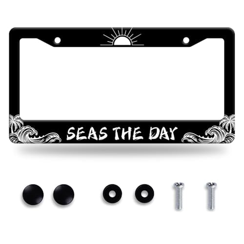 Beach License Plate Frame Personalise Ocean Wave License Plate Frames Black Funny Auto Accessory Stainless Steel Sun License Plate Decoration for Men Women 12.3 x 6.3 Inch - color: Funny Beach with Waves