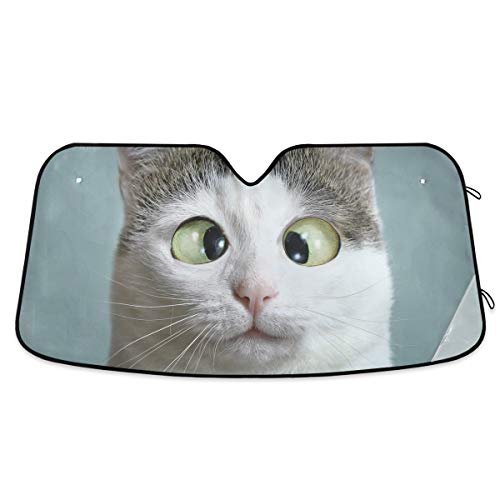 Funny Cat Squint Eye Car Windshield Sun Shade Block UV Rays Sun Visor Protector Accordion Folding Sunshade Keep Vehicle Cool and Damage Free, Easy to Use, Fits Windshields of Various Sizes - color: Grey-funny cat squint eye