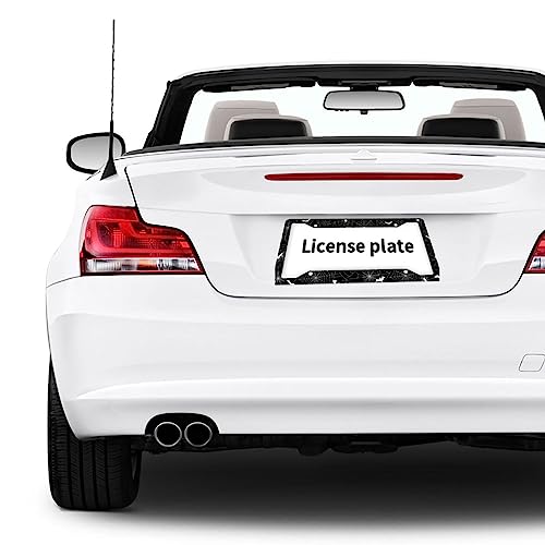Halloween Spider Web License Plate Frame 2 Pack License Plate Holder Universal Aluminum License Plate Cover Car Accessories for Men Women - color: Halloween