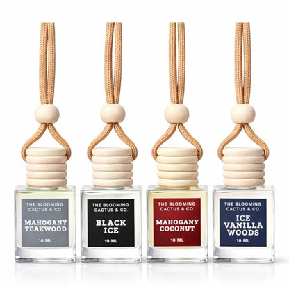 4 Pack Air fresheners | Long lasting car air fresheners, Hand-made in USA | Small room diffuser | Small Business Woman Owned. (10 ml Fresh & Earthy Pack Mix) - style: 10 ml Fresh & Earthy Pack Mix