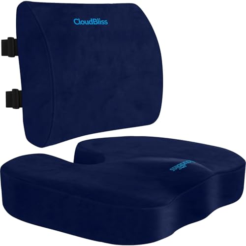 CloudBliss Lumbar Support Pillow & Seat Cushion Set for Office Chair, Desk Chair, Wheelchair & Car–Memory Foam Back Support,Ergonomic Chair Cushions, Sciatica Pain Relief,Home Essentials(Blue,XL) - color: Blue, size: X-Large