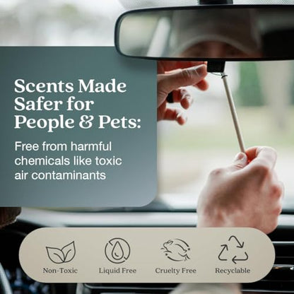 Enviroscent Non-Toxic* Car Air Freshener Auto Stix® - Fragrance Lasts Up to 180 Days - Includes Auto Stix® Diffusers & Elastic Loops - Mother’s Day Gift for Mom - Black Vanilla & Mandarin (Pack of 3) - size: 3 Count (Pack of 2)