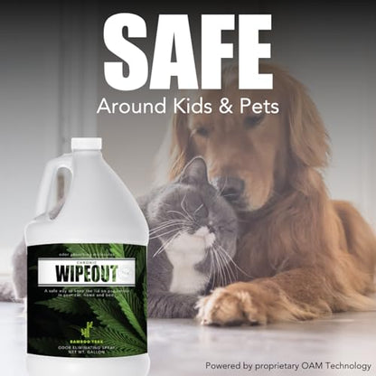 Chronic Wipeout Smoke Smell Eliminator for Home, Cars, Hands, Hair, Clothes, & More | Smoke Odor Eliminating Spray for All Kinds of Strong Smoke | Gifts for Smokers - Bamboo Teak 1 Gallon - size: 1 Count (Pack of 1)