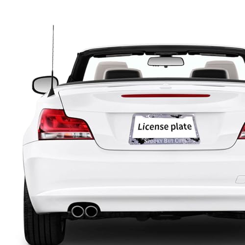 Cute Halloween License Plate Frame Retro Bats Web Spooky Personalise Stainless Steel Funny Design Compatible with Standard License Plate Holder for USA and Canada 6.3 x 12.2 in - color: Cute Halloween, size: 6.3 X 12.2 In-1PC
