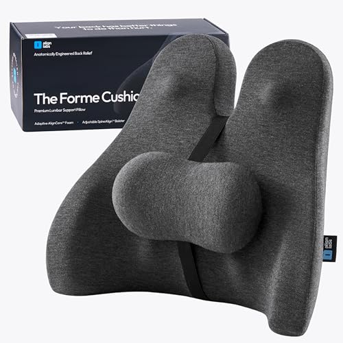 Lumbar Support Pillow for Office Chair - Lower Back Pain Relief Cushion with Adjustable SpineAlign™ Bolster, Memory Foam Pillow for Car, Couch, Gaming Seats - Dual Straps, Dark Grey - color: Dark Grey