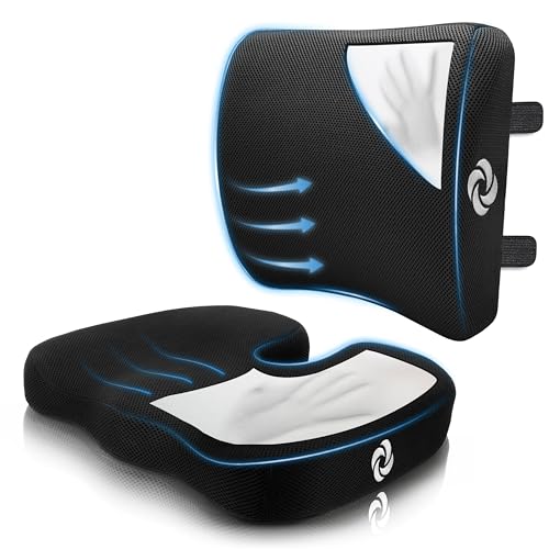 Samsonite Ergonomic Seat Cushion and Lumbar Support Cushion Combo, Memory Foam Office Chair for Back Support, Car Seat and Wheelchair Ergonomic Pillow, Premium Home and Office Desk Accessories - color: Black / Black
