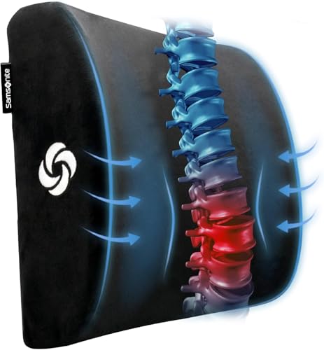 Samsonite Lumbar Support Pillow for Office Chair and Car Seat, Perfectly Balanced Memory Foam, Versatile Use Lower Back Cushion, Black Plush - color: Black Plush