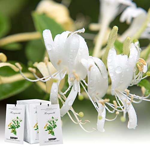 MYARO 12 Packs Honeysuckle Scented Sachets for Drawer and Closet, Long Lasting Air Freshener Fresh Scents Potpourri Bags Home Fragrance for Room Car Small Space - color: Honeysuckle