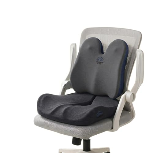 Seat Cushion & Lumbar Support Pillow Set for Office Chair, Memory Foam Seat Cushion with Adjustable Strap, Comfort Support Cushions for Office Chair, Car and Wheelchair (Dark Grey) - color: Dark Grey