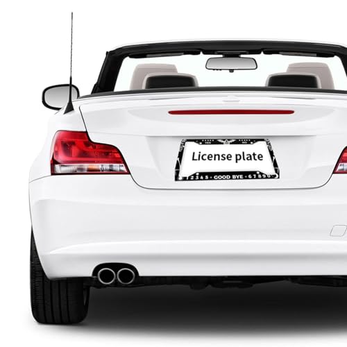 Skull Gothic License Plate Frame 2 Pack License Plate Holder Universal Aluminum License Plate Cover Car Accessories for Men Women - color: Skull Gothic