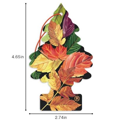 LITTLE TREES Car Air Freshener | Hanging Tree Provides Long Lasting Scent for Auto and Home | Crisp Autumn Air, 24 Air Fresheners - color: Crisp Autumn Air