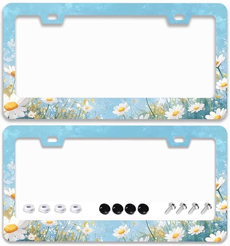 2 Pcs Cute Flowers Daisies License Plate Frames - 2 Holes Stainless Steel Metal Auto Car Accessories Decoration License Plate Frame Cover Size 6.3" x 12.2" Fit US Vehicles for Women Men Gift - color: Daisies
