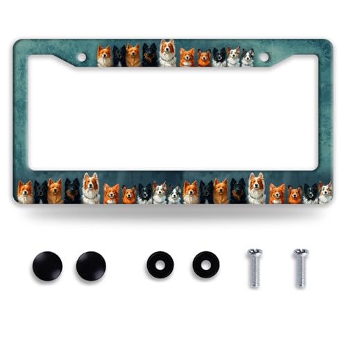 Dog License Plate Frame Funny Pet License Plate Frames for Car Decorative Parts Stainless Stee License Plate for Standard Us Canada License Plate Holder 12x6 Inch for Women Men - color: Dog