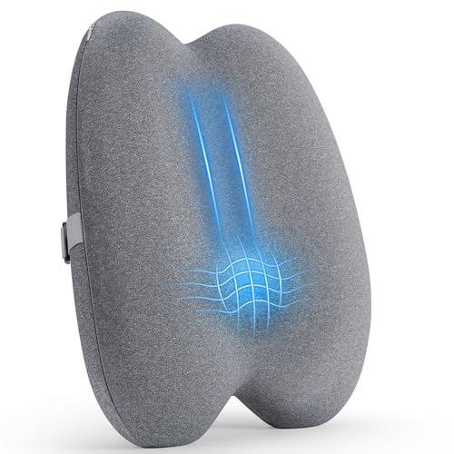 Dense Lumbar Support Pillow for Office Chair, Ergonomic Memory Foam Back Support Pillow for Lower Back Pain Relief, Lumbar Cushion for Chair, Car Seat, Gaming Chair, Adjustable Straps, Grey - color: Back Support Style1-grey