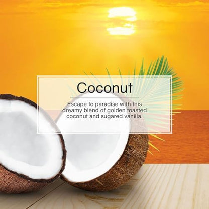 LITTLE TREES Car Air Freshener | Hanging Tree Provides Long Lasting Scent for Auto and Home | 24 Air Fresheners |Coconut - color: Coconut