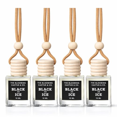4 Pack Air fresheners | Long lasting car air fresheners, Hand-made in USA | Small room diffuser | Small Business Woman Owned. (10 ml Black Ice (Type) set of 4) - style: 10 ml Black Ice (Type) set of 4