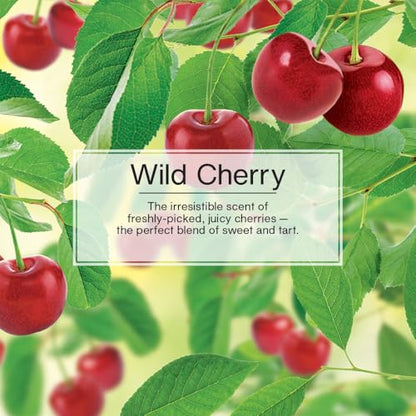 LITTLE TREES Car Air Freshener | Vent Wrap Provides Long Lasting Scent, Invisibly Fresh | 16 Air Fresheners | Wild Cherry - color: Wild Cherry