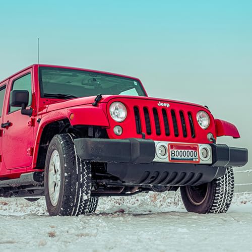 Red License Plate Frame, Premium Matte Aluminum Alloy Holder with 2 Holes, 2 Pack Waterproof Rust-Proof Universal Car Frame, Including Screws, Caps and Rattle Proof Pads - color: Red