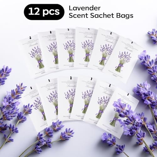MYARO 12 Pack Lavender Scented Sachets | Odor Eliminator & Air Freshener for Drawer, Closet, Car, Shoes, Gym Bag, Suitcase | Home Fragrance Gift Set - color: Lavender
