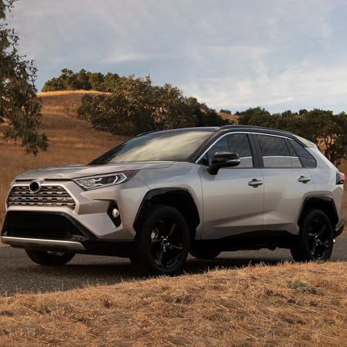 RAV4 Specific Side Window Sun Shades, 2019-2024 Vehicle Interior Shade for Baby Mesh Car Window Covers, Breathable, UV Protection and Heat Insulation (RAV4（2019-2024）, Front+Rear side-4pcs) - size: Front+Rear side-4pcs