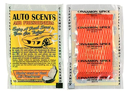Individually Wrapped - Professional Car Air Freshener Pads - Remove Smells & Add Ambience (15 Per Pack) (Cinnamon Spice) - color: Cinnamon Spice