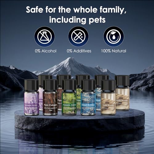 Car Air Freshener Refill, Car Air Freshener Vent Clip Special Refill, 5 Scents, 10 Bottles (Excluding Machine) - style: 10 Bottle Refills