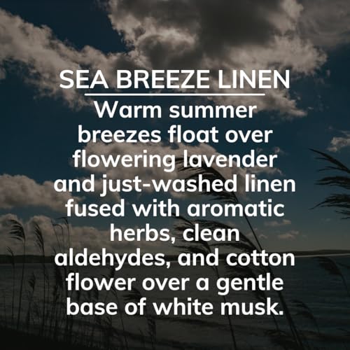 Citrus Magic On The Go Solid Air Absorber Sea Breeze Linen, Pack of 3, 8-Ounces Each (866472509) - color: Sea Breeze Linen, size: 8 Ounce (Pack of 3)
