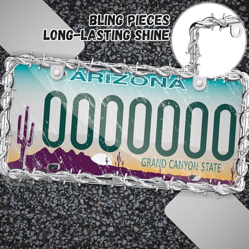 MorningRo 2 Pcs Universal License Plate Frame Plastic Barbed Wire Coconut Design Frame Compatible with Standard License Plate for USA 2 Holes with Screws for Women Men(Silver) - color: Silver