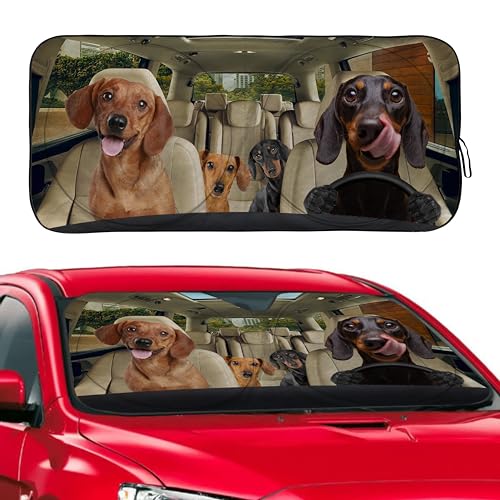 Dachshund Dog Windshield Sunshade for Car SUV Truck Foldable Uv Ray Reflector Front Window Sun Shade Visor Shield Cover -59" X 31" - color: Dachshund Dog