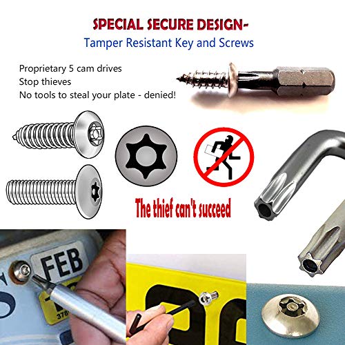 Aootf Anti Theft License Plate Screws - Stainless Steel Tamper Resistant Car Tag Frame Fasteners | Security Tapping Screws | Qty 8 - size: Black Self-tapping Screws - 8 Count