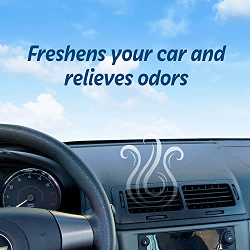 Refresh your car, Odor Elimination cool breeze Auto Vent Stick, New Car, 6 Per Pack (Pack of 2) - size: 6 Count (Pack of 2)