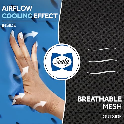 Sealy Ergonomic Car Neck Cushion – Memory Foam Neck Pillow for Car or Office Chair, Travel Neck Pillow, - color: Black
