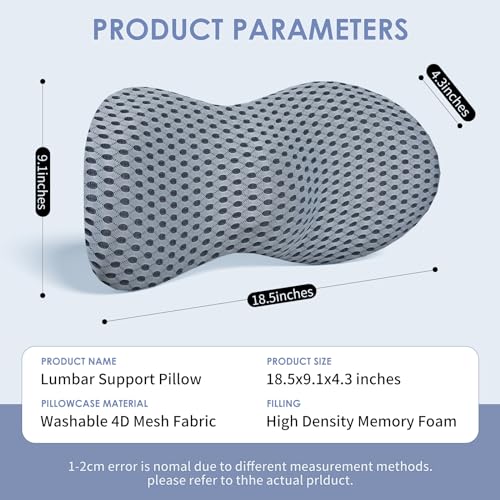 kasney Lumbar Support Pillow, Back Pillow for Low Back Pain Relief, Ergonomic Streamline Car Seat, Office Chair, Recliner and Bed (Gray) - color: Gray