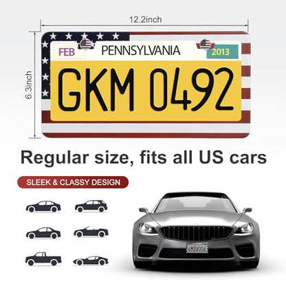 QUANQIUFEI 2 Pack License Plate Frames, Stainless Steel Car License Plate Cover Car Accessories with Screw Caps (Red and Blue) - color: Red and blue